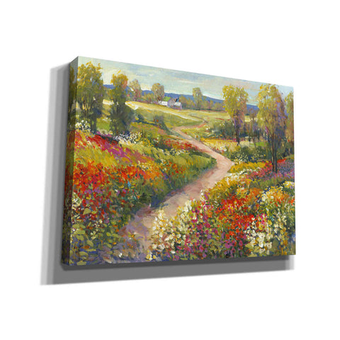 Image of 'Morning Walk II' by Tim O'Toole, Canvas Wall Art