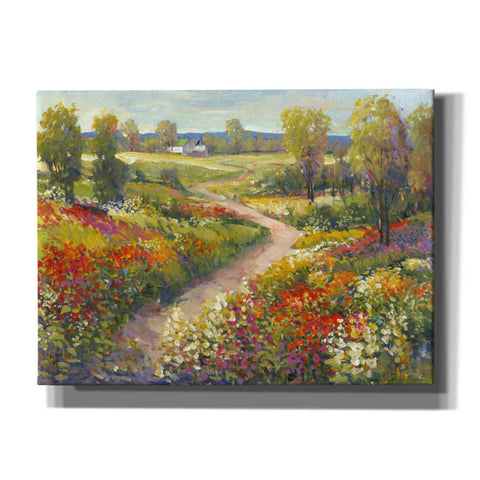 Image of 'Morning Walk II' by Tim O'Toole, Canvas Wall Art