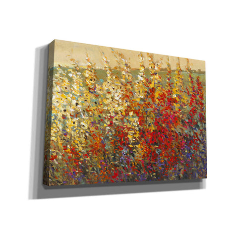 Image of 'Field of Spring Flowers I' by Tim O'Toole, Canvas Wall Art