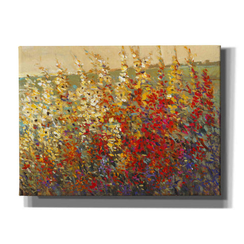 Image of 'Field of Spring Flowers I' by Tim O'Toole, Canvas Wall Art