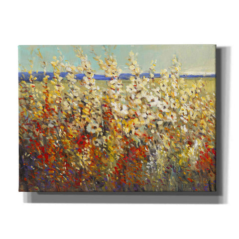 Image of 'Field of Spring Flowers II' by Tim O'Toole, Canvas Wall Art