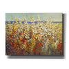 'Field of Spring Flowers II' by Tim O'Toole, Canvas Wall Art