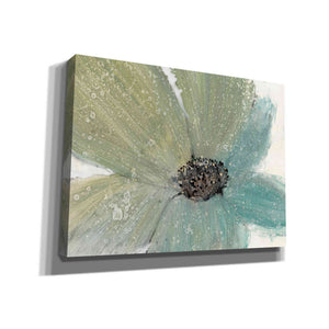 'Floral Spirit I' by Tim O'Toole, Canvas Wall Art