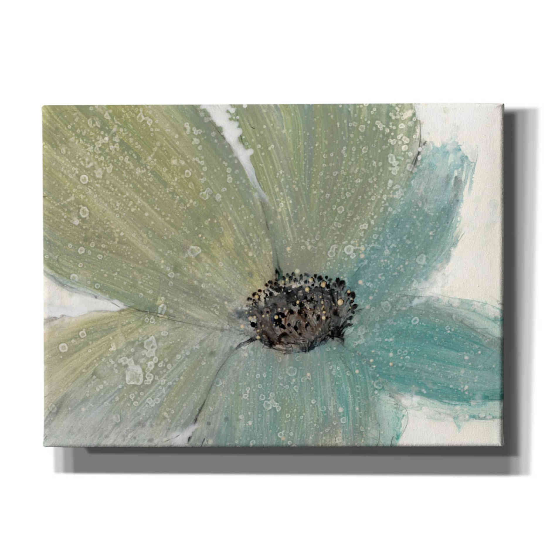 'Floral Spirit I' by Tim O'Toole, Canvas Wall Art