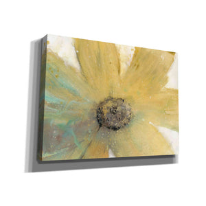 'Floral Spirit II' by Tim O'Toole, Canvas Wall Art