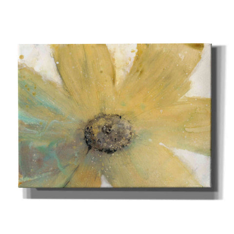 Image of 'Floral Spirit II' by Tim O'Toole, Canvas Wall Art