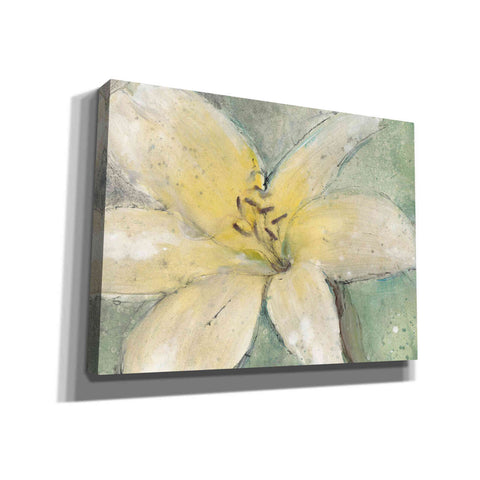 Image of 'Floral Spirit III' by Tim O'Toole, Canvas Wall Art