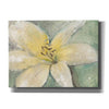 'Floral Spirit III' by Tim O'Toole, Canvas Wall Art