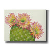'Desert Blossoms I' by Tim O'Toole, Canvas Wall Art