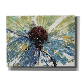 'Blue Splash II' by Tim O'Toole, Canvas Wall Art