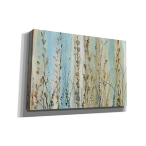 'Ombre Floral I' by Tim O'Toole, Canvas Wall Art