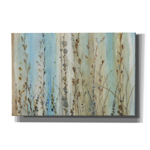 Image of 'Ombre Floral I' by Tim O'Toole, Canvas Wall Art