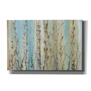 'Ombre Floral I' by Tim O'Toole, Canvas Wall Art