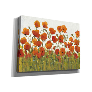 'Rows of Poppies I' by Tim O'Toole, Canvas Wall Art