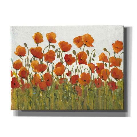 Image of 'Rows of Poppies I' by Tim O'Toole, Canvas Wall Art