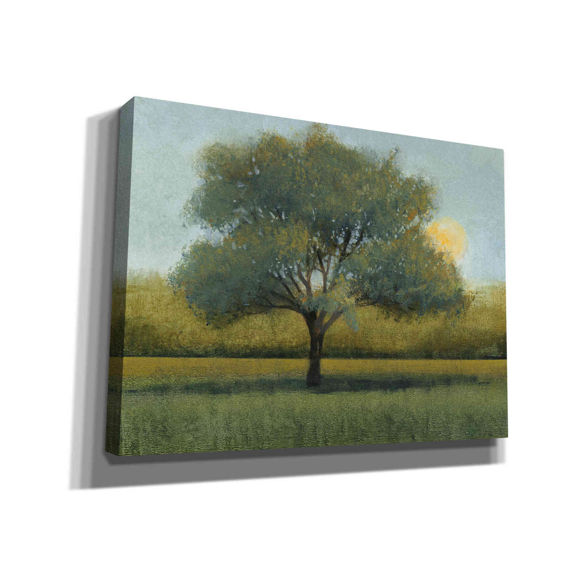 'Sunrise I' by Tim O'Toole, Canvas Wall Art