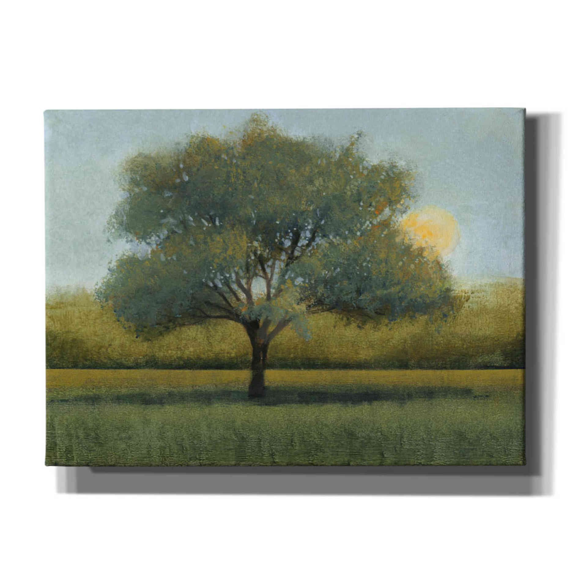 'Sunrise I' by Tim O'Toole, Canvas Wall Art
