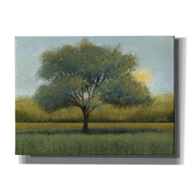 'Sunrise I' by Tim O'Toole, Canvas Wall Art