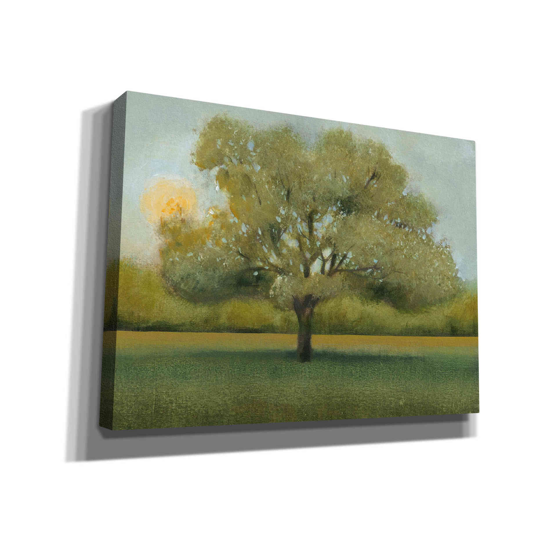 'Sunrise II' by Tim O'Toole, Canvas Wall Art