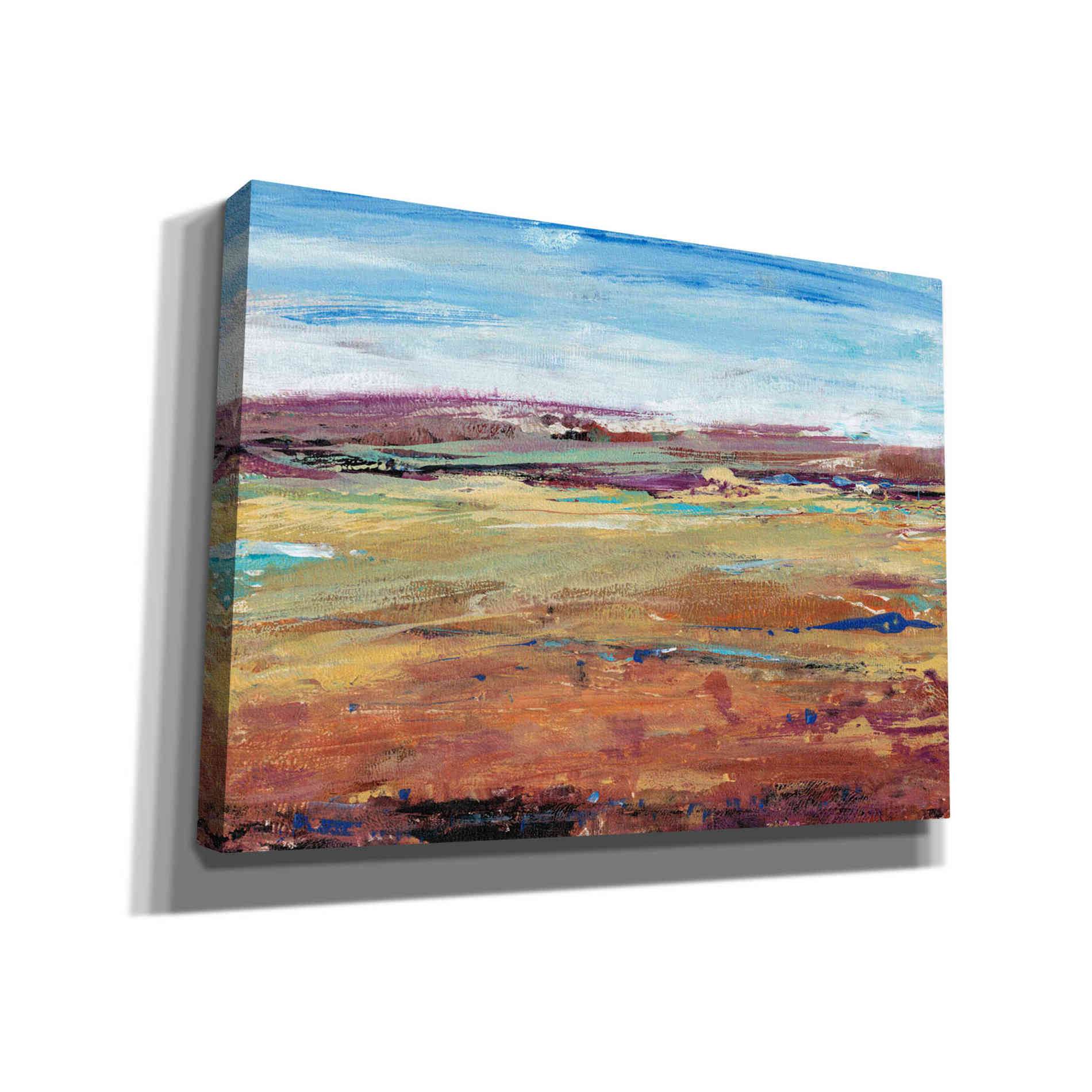 'Terra Vista I' by Tim O'Toole, Canvas Wall Art