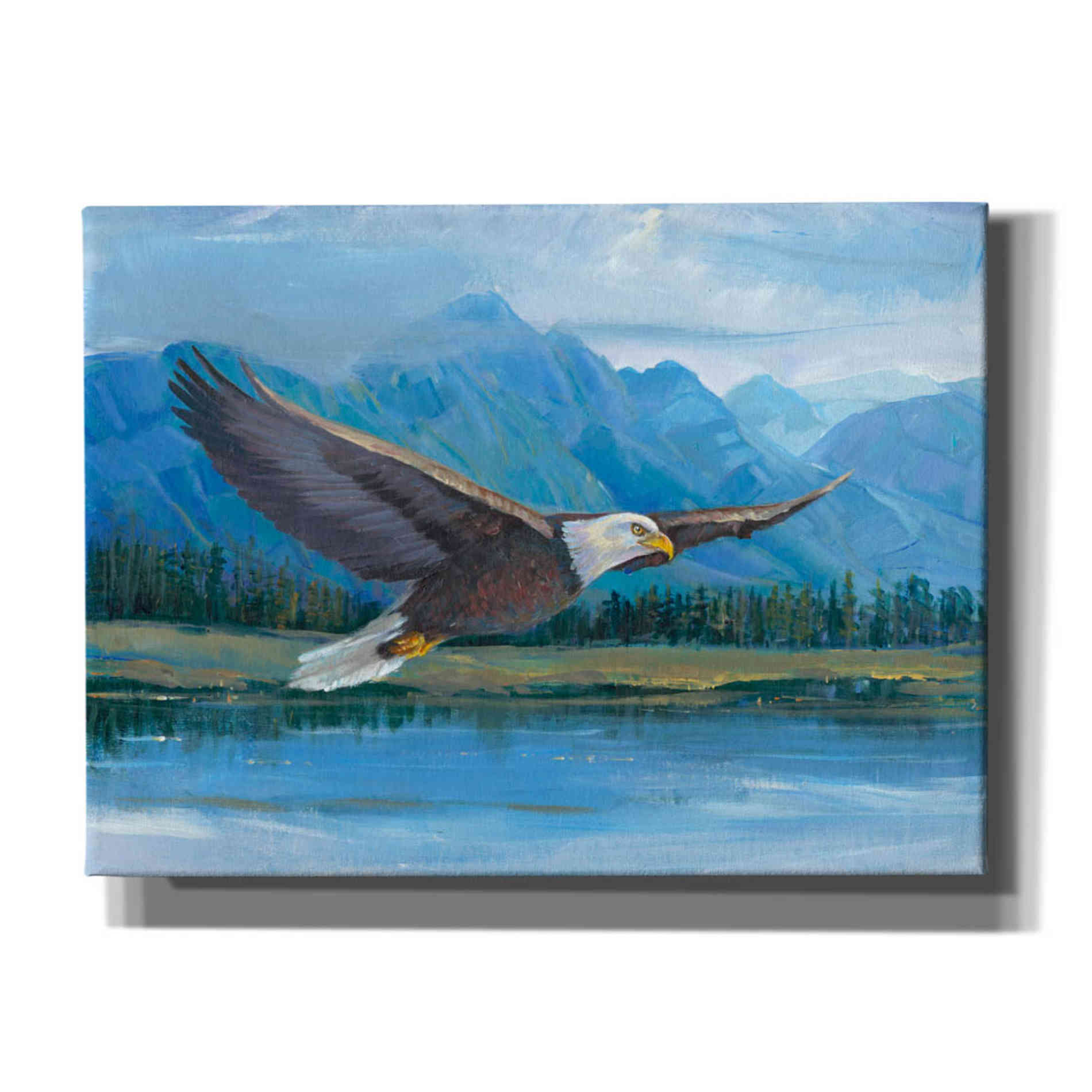 'Eagle Soaring' by Tim O'Toole, Canvas Wall Art
