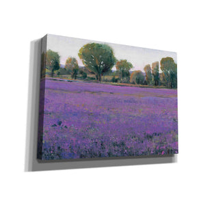 'Lavender Field I' by Tim O'Toole, Canvas Wall Art