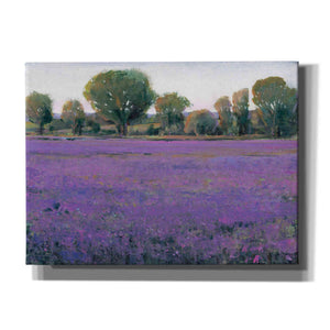 'Lavender Field I' by Tim O'Toole, Canvas Wall Art