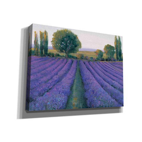 Image of 'Lavender Field II' by Tim O'Toole, Canvas Wall Art