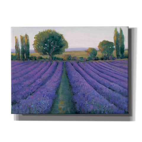 Image of 'Lavender Field II' by Tim O'Toole, Canvas Wall Art