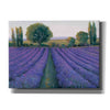 'Lavender Field II' by Tim O'Toole, Canvas Wall Art