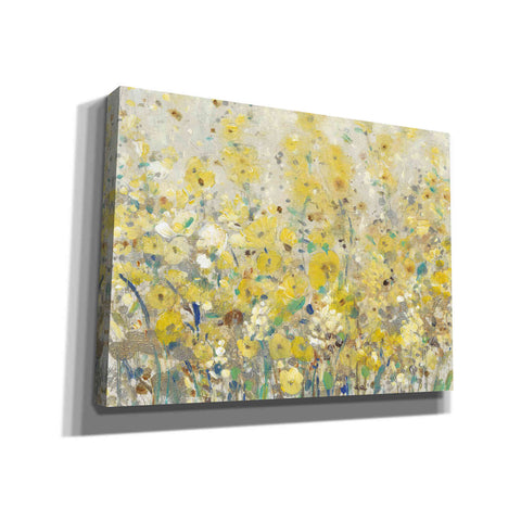 Image of 'Cheerful Garden I' by Tim O'Toole, Canvas Wall Art