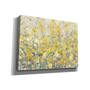 'Cheerful Garden I' by Tim O'Toole, Canvas Wall Art