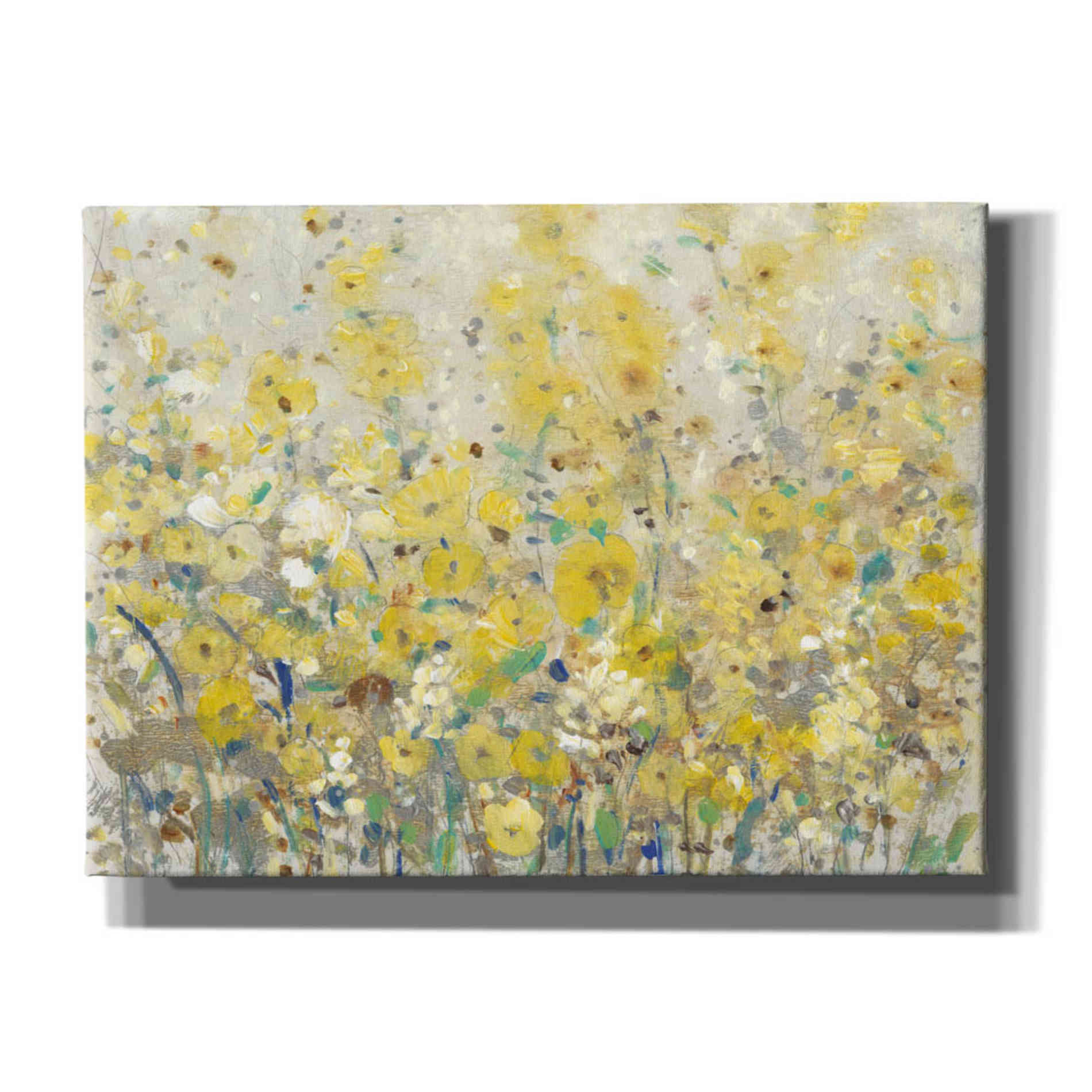 'Cheerful Garden I' by Tim O'Toole, Canvas Wall Art