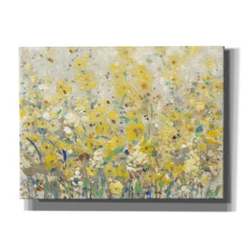'Cheerful Garden I' by Tim O'Toole, Canvas Wall Art