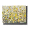 'Cheerful Garden I' by Tim O'Toole, Canvas Wall Art