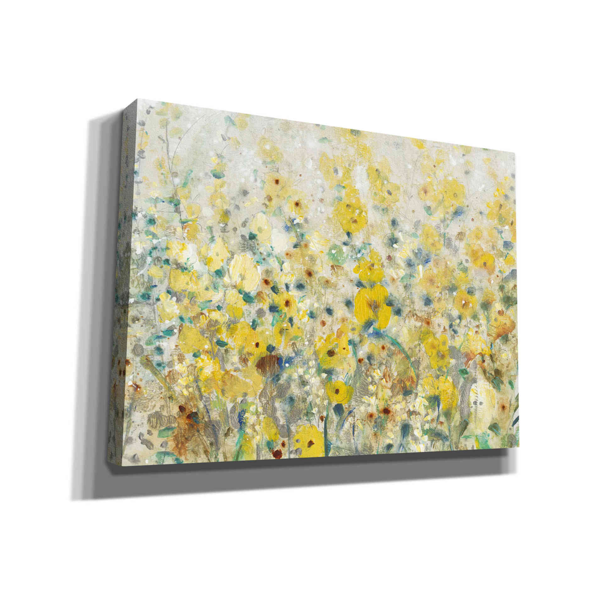 'Cheerful Garden II' by Tim O'Toole, Canvas Wall Art