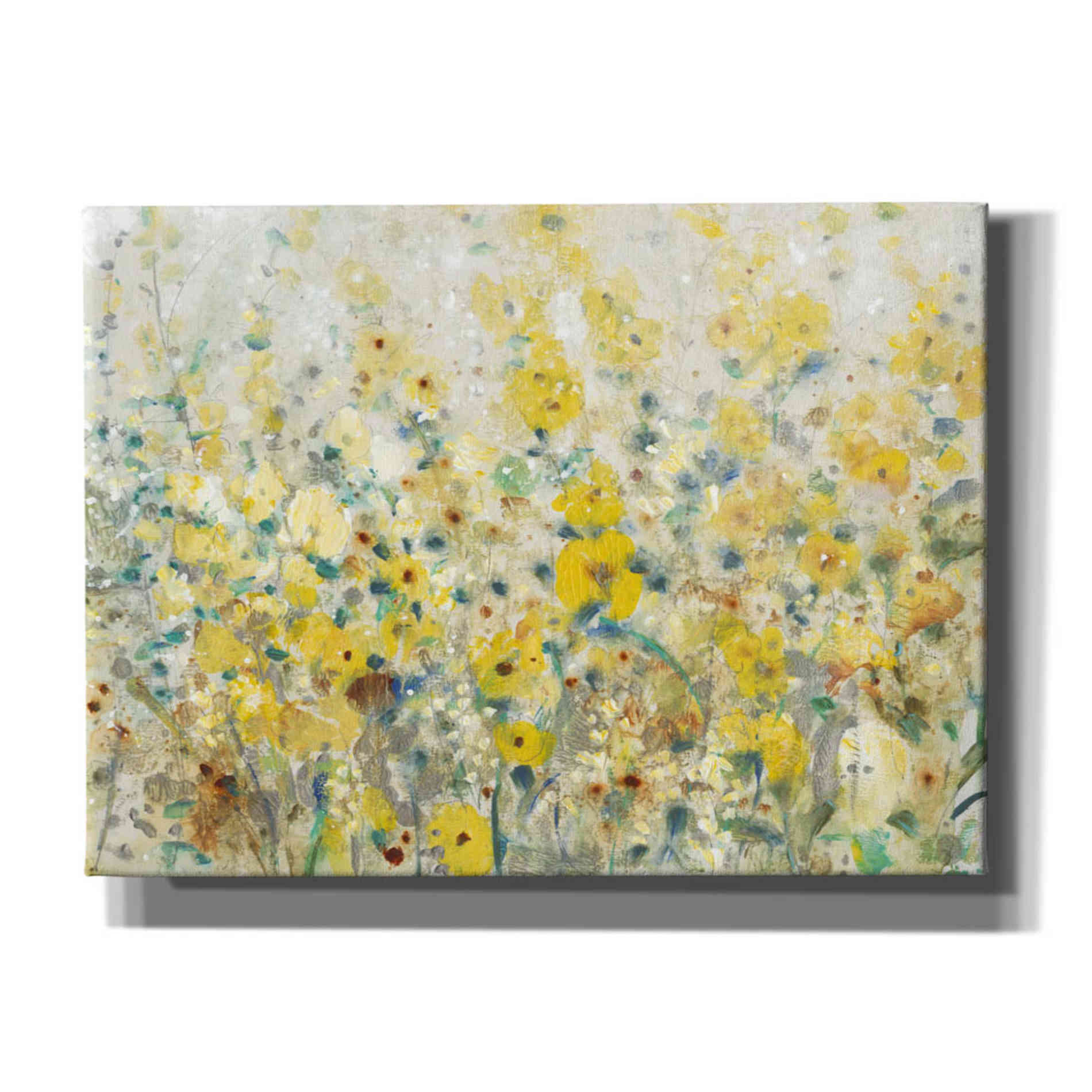 'Cheerful Garden II' by Tim O'Toole, Canvas Wall Art