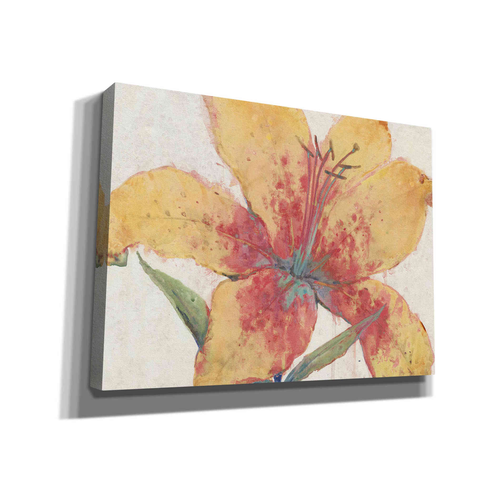 'Blooming Lily' by Tim O'Toole, Canvas Wall Art