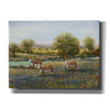 'Field of Cattle II' by Tim O'Toole, Canvas Wall Art