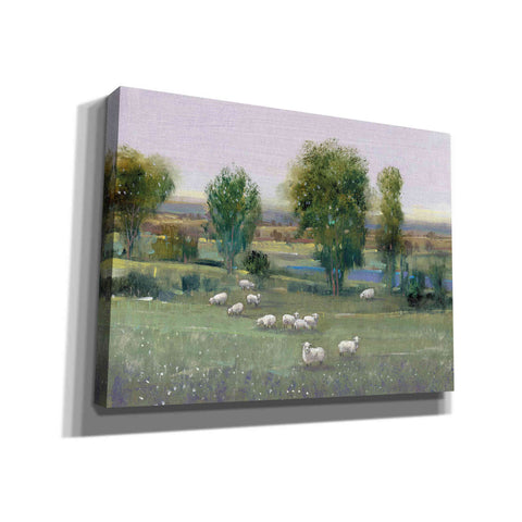Image of 'Field of Sheep I' by Tim O'Toole, Canvas Wall Art