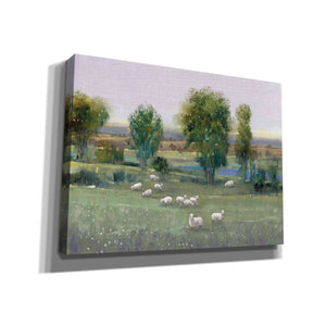 'Field of Sheep I' by Tim O'Toole, Canvas Wall Art
