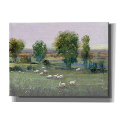 Image of 'Field of Sheep I' by Tim O'Toole, Canvas Wall Art