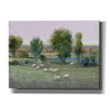 'Field of Sheep I' by Tim O'Toole, Canvas Wall Art