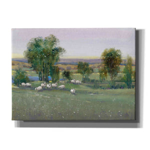 'Field of Sheep II' by Tim O'Toole, Canvas Wall Art