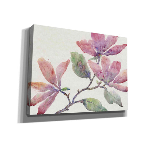 Image of 'Flowering Branch I' by Tim O'Toole, Canvas Wall Art