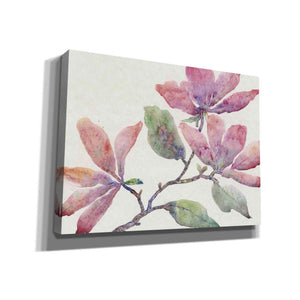 'Flowering Branch I' by Tim O'Toole, Canvas Wall Art