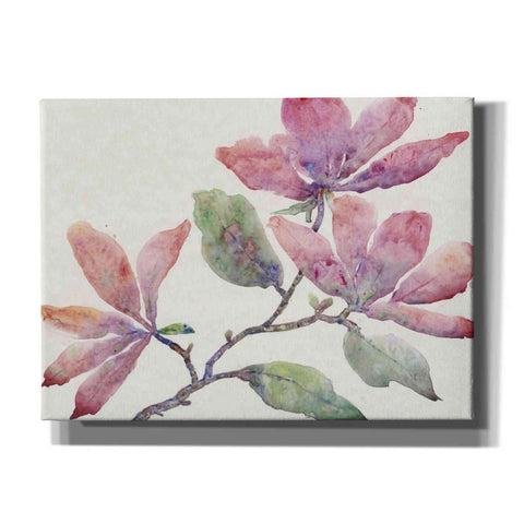 Image of 'Flowering Branch I' by Tim O'Toole, Canvas Wall Art