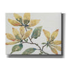 'Flowering Branch II' by Tim O'Toole, Canvas Wall Art