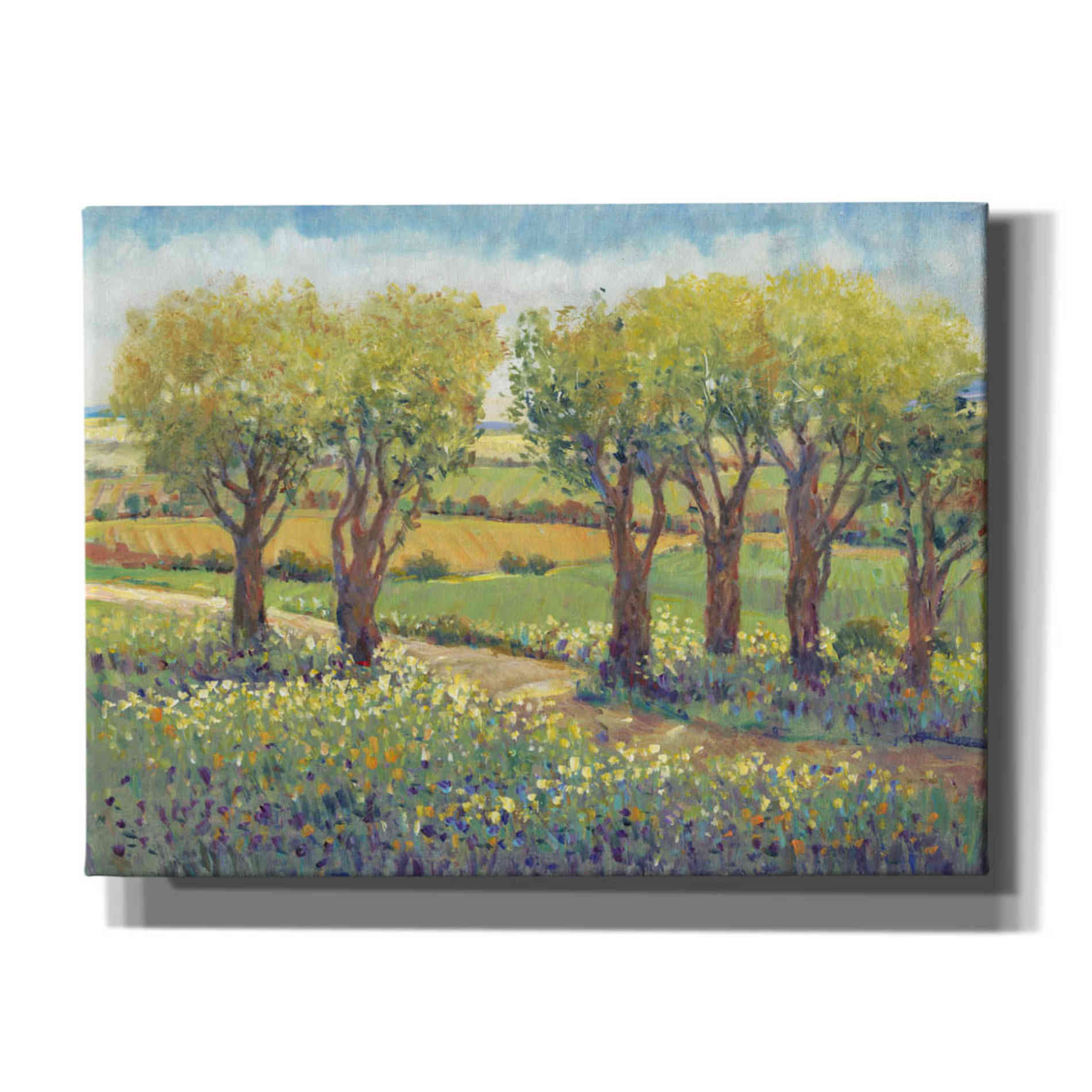 'Garden Path I' by Tim O'Toole, Canvas Wall Art
