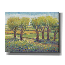 'Garden Path I' by Tim O'Toole, Canvas Wall Art